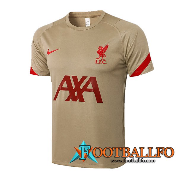 Camiseta Entrenamiento FC Liverpool Brun 2021/2022