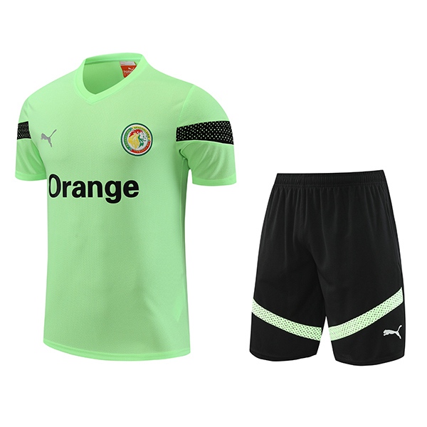 Camiseta Entrenamiento + Cortos Senegal Verde 2023/2024