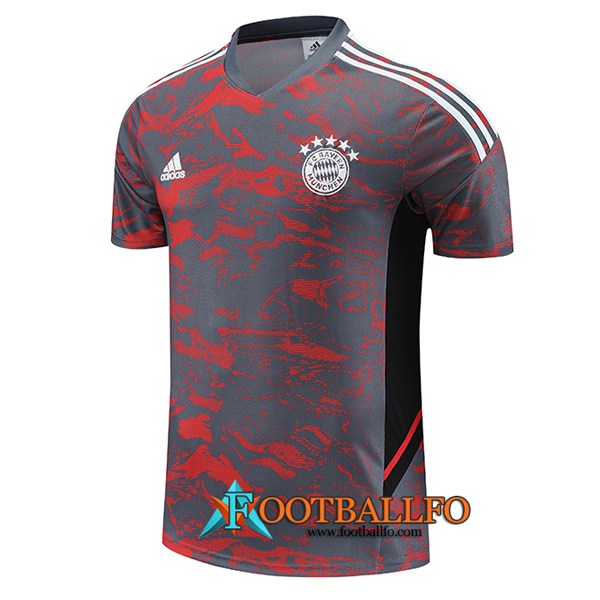 Camiseta Entrenamiento Bayern Munich Rojo/Gris 2023/2024