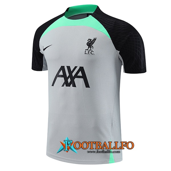 Camiseta Entrenamiento FC Liverpool Gris 2023/2024