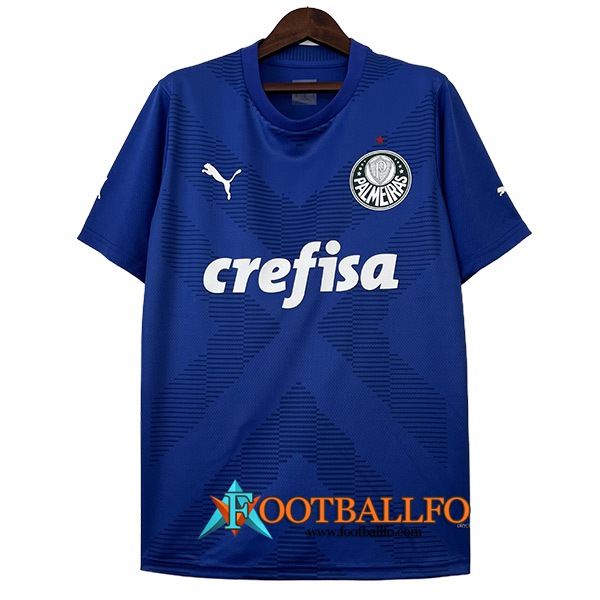 Camisetas De Futbol Palmeiras Portero Azul 2023/2024