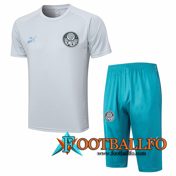 Camiseta Entrenamiento + Cortos Palmeiras Gris Claro 2023/2024