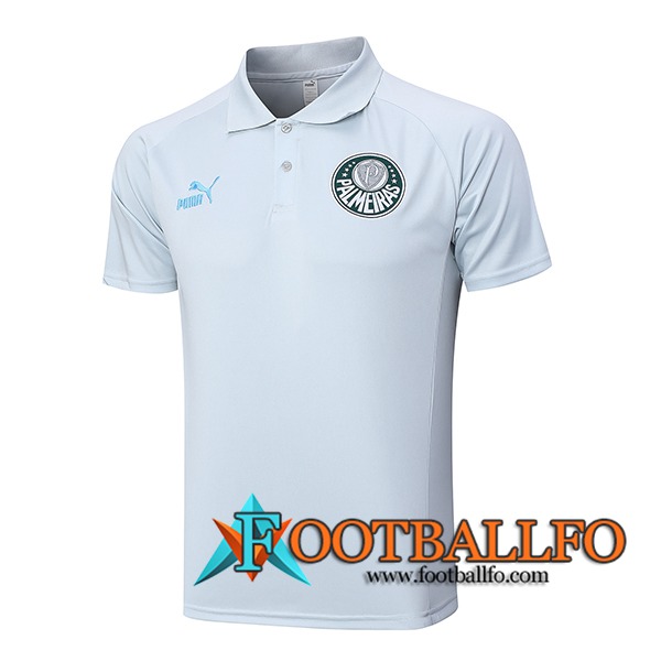 Camiseta Polo Palmeiras Gris 2023/2024