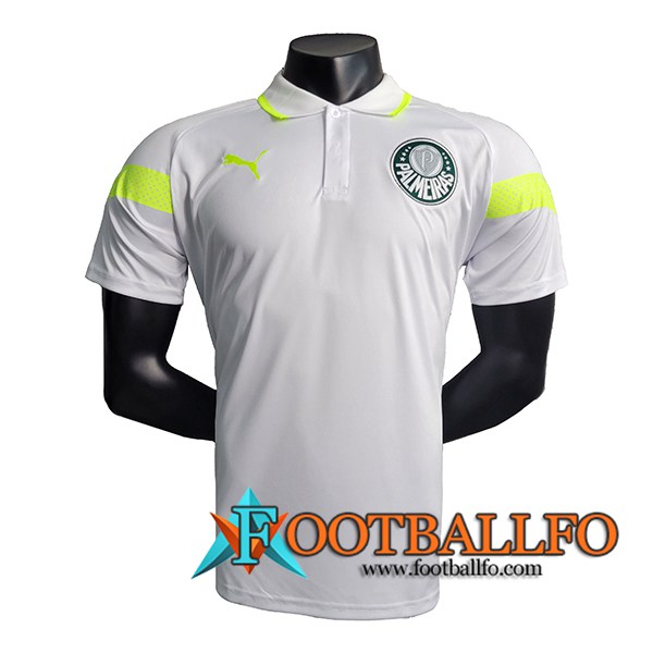 Camiseta Polo Palmeiras Gris 2023/2024 -04