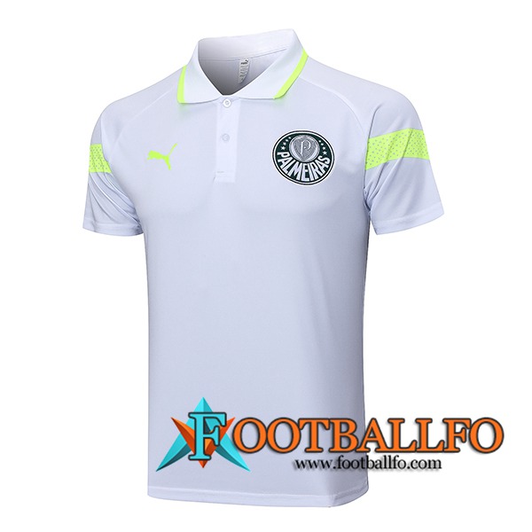 Camiseta Polo Palmeiras Gris 2023/2024 -02