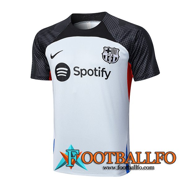 Camiseta Entrenamiento FC Barcellona Gris 2023/2024 -02